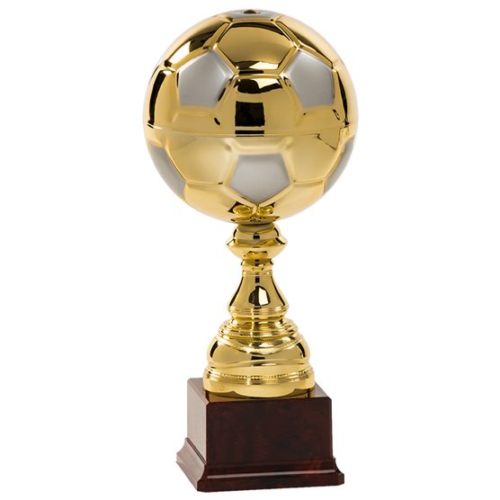 Futbalový pohár 9978