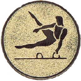 Emblémy kovové MINI / MAXI - 58 gymnasta