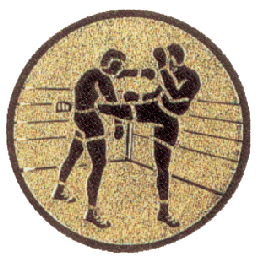 Emblémy kovové MINI / MAXI - 95 kick box
