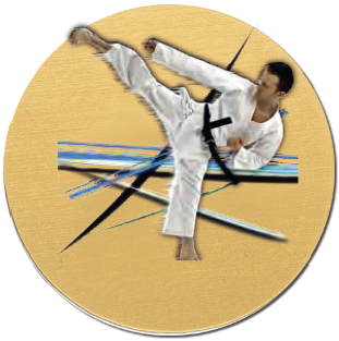 Emblémy UV farebné MINI / MAXI - 61 karate