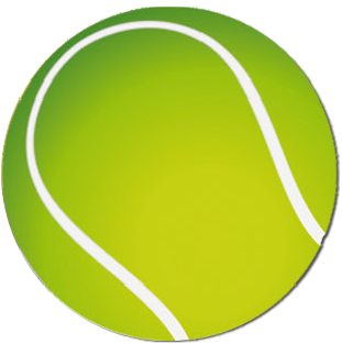 Emblémy UV farebné MINI / MAXI - 13 tenis