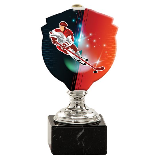 Trofej 660 - s farebnou potlačou - na výber 19 motívov